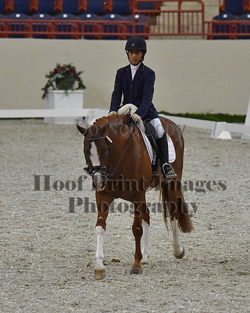 CWdressageII(8-21-16)2020