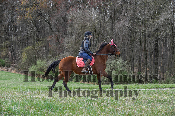 FairHillSpringPC(4-8-23)0134