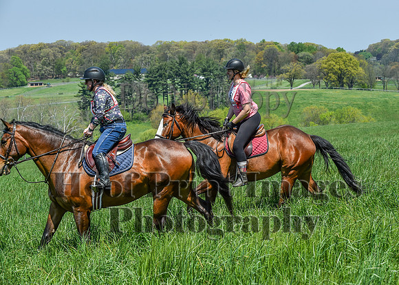 CheshireSpringPC1(4-28-24)0433