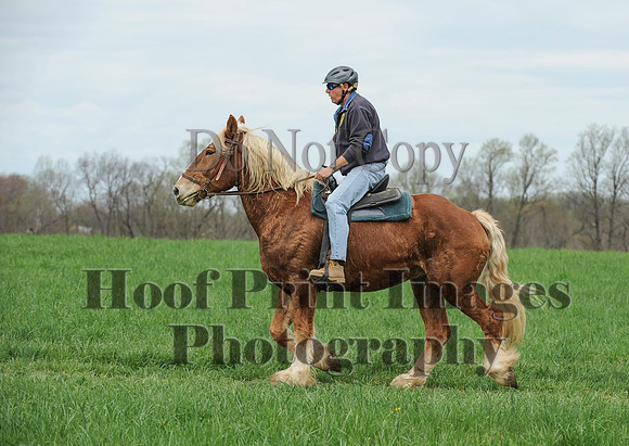 FairHillPC(4-14-17)0468