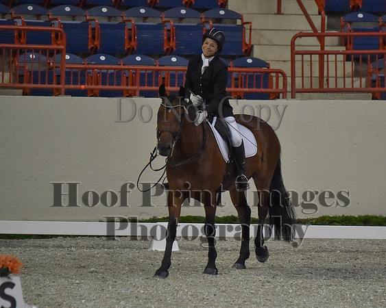 CWdressageII(8-21-16)0508