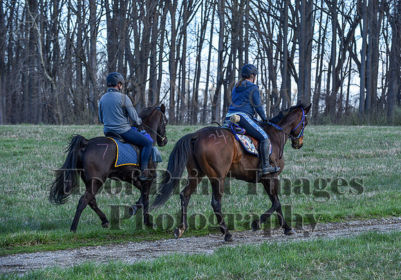 ChesapeakeSpring(4-10-22)0393