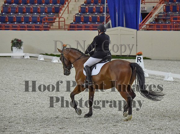 CWdressageI(8-20-16)0231