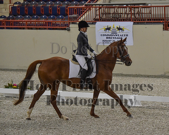 CWdressageII(8-21-16)0103