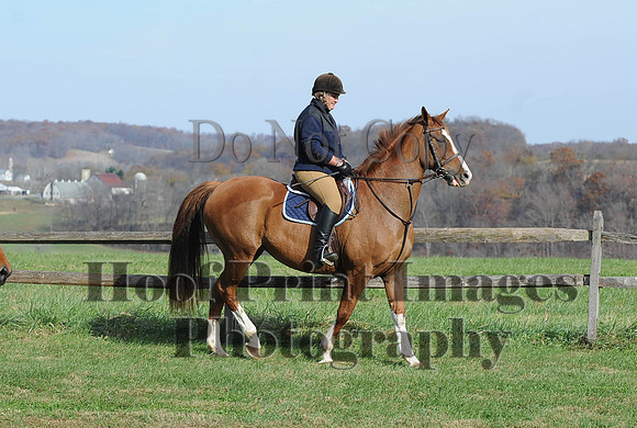 AndrewsBr(11-9-14)0405
