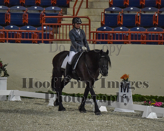 CWdressageII(8-21-16)0214