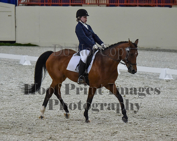 CWdressageII(8-21-16)2100