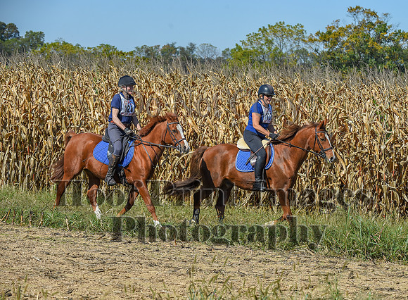 CheshirePonyClubPC(10-6-24)0433