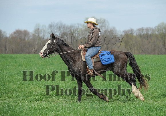 FairHillPC(4-14-17)0041