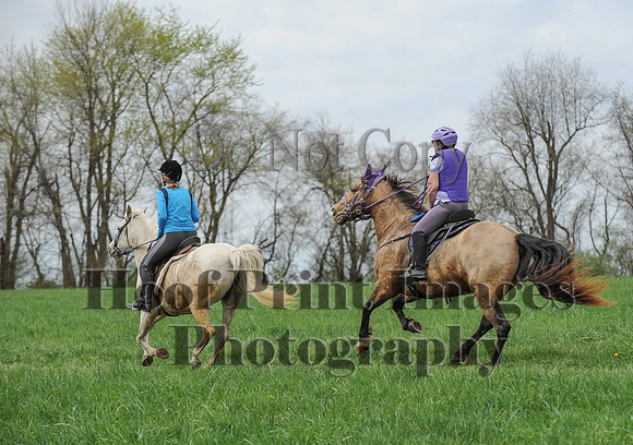 FairHillPC(4-14-17)0639