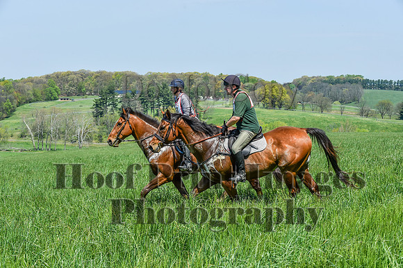 CheshireSpringPC1(4-28-24)0389