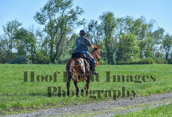 ChesapeakeSpring(4-27-25)0365