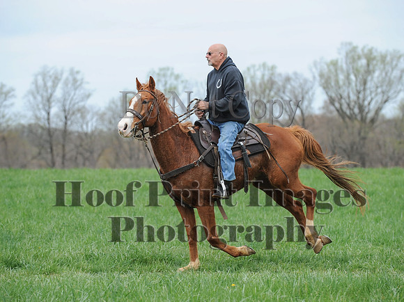 FairHillPC(4-14-17)0581