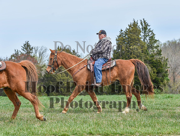 FairHillSpringPC(4-8-23)0266