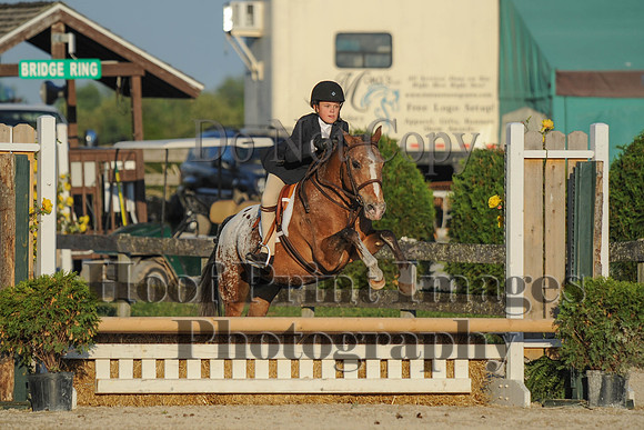 BRSa(5-17-14)SMChP0099