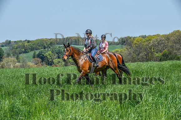CheshireSpringPC1(4-28-24)0427