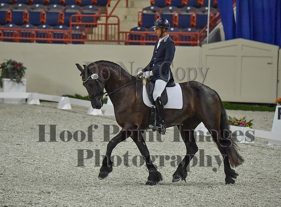 CWdressageI(8-20-16)0283