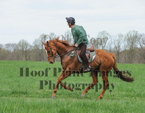 FairHillPC(4-14-17)0502