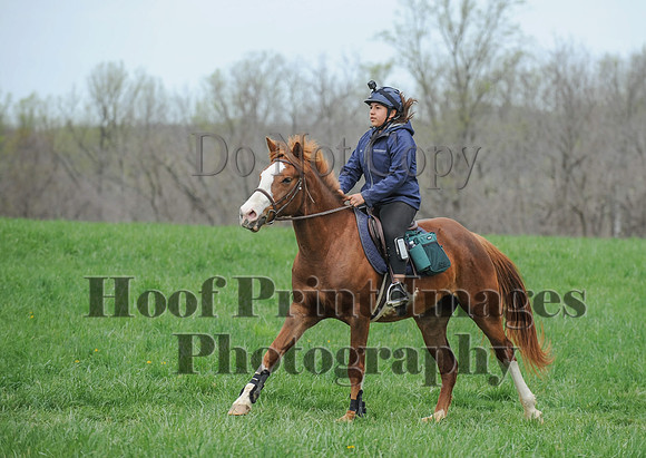 FairHillPC(4-14-17)0306