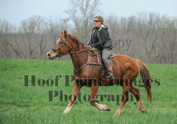 FairHillPC(4-14-17)0330