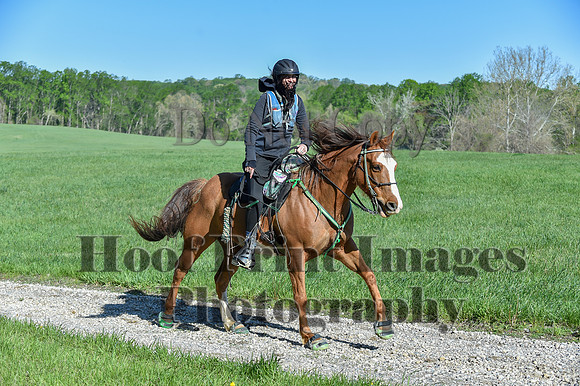 ChesapeakeSpring(4-27-25)0383
