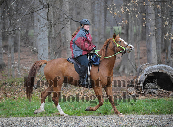 Foxcatcher(4-9-16)0424