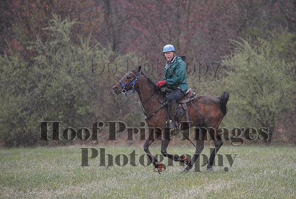Foxcatcher(4-9-16)0907