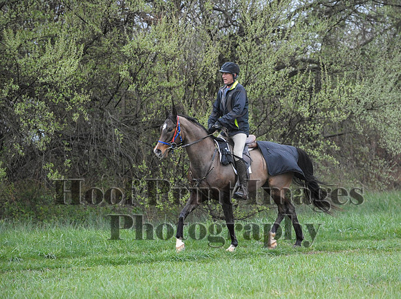 Foxcatcher(4-9-16)0547