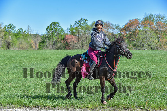 ChesapeakeSpring(4-27-25)0515