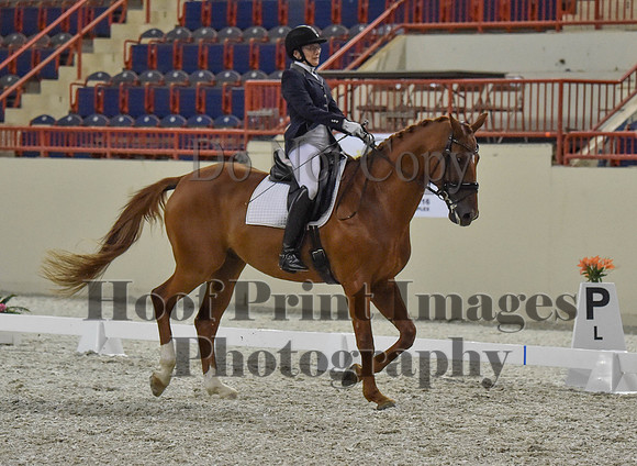 CWdressageI(8-20-16)1247