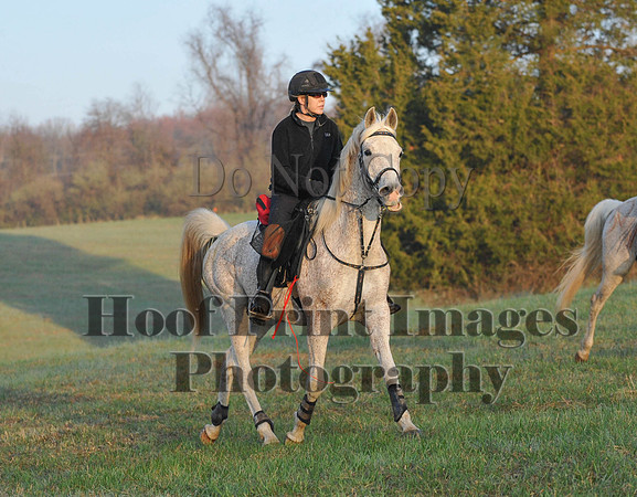 Foxcatcher(4-12-14)0227