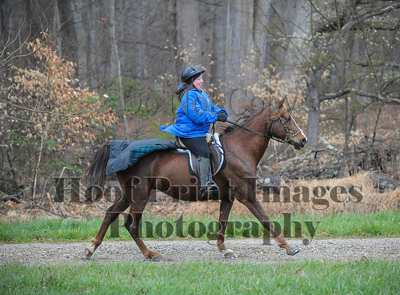 Foxcatcher(4-9-16)0260