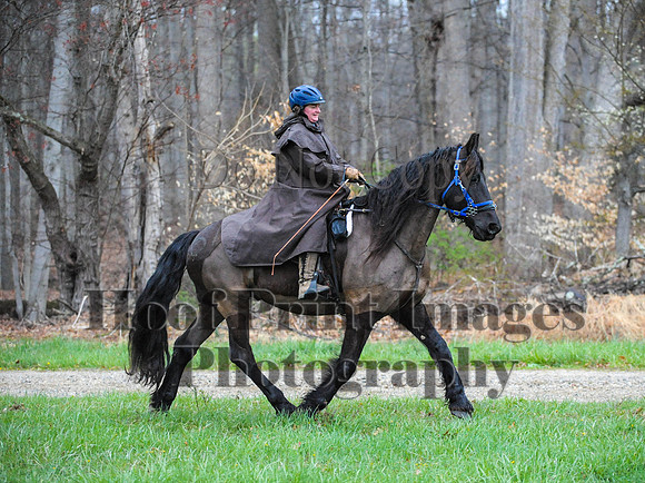 Foxcatcher(4-9-16)0325