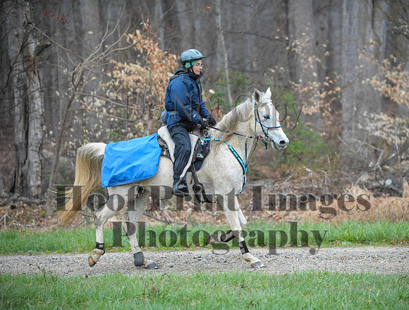 Foxcatcher(4-9-16)0188