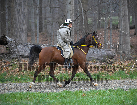 Foxcatcher(4-9-16)0399
