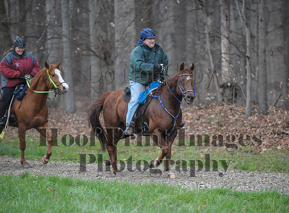 Foxcatcher(4-9-16)0410