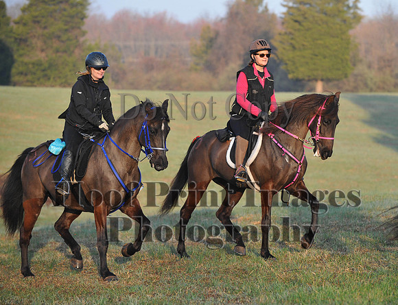 Foxcatcher(4-12-14)0260