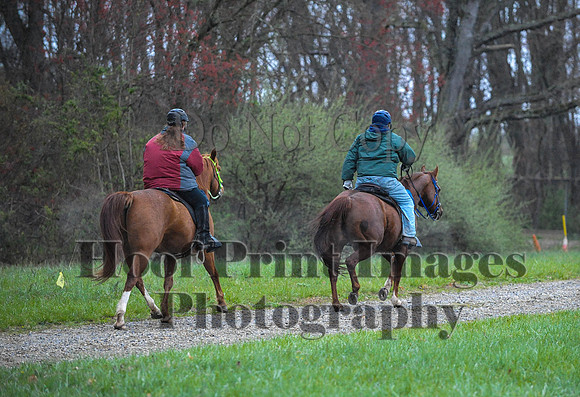 Foxcatcher(4-9-16)0429