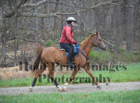 Foxcatcher(4-9-16)0231
