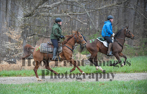 Foxcatcher(4-9-16)0306