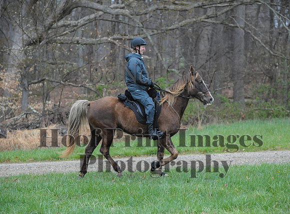 Foxcatcher(4-9-16)0096