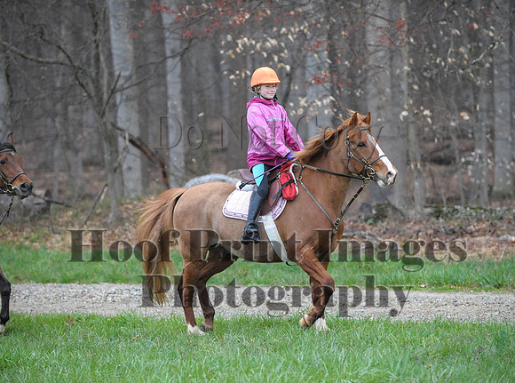 Foxcatcher(4-9-16)0337