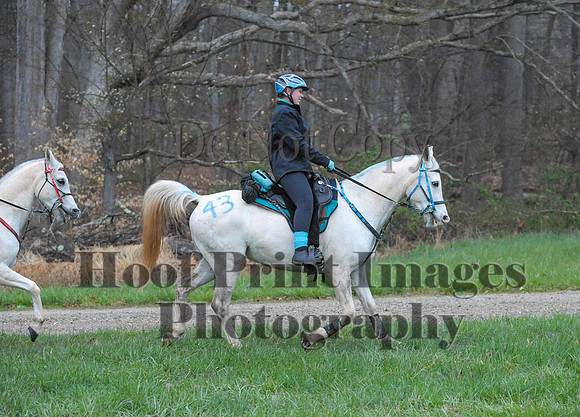 Foxcatcher(4-9-16)0103