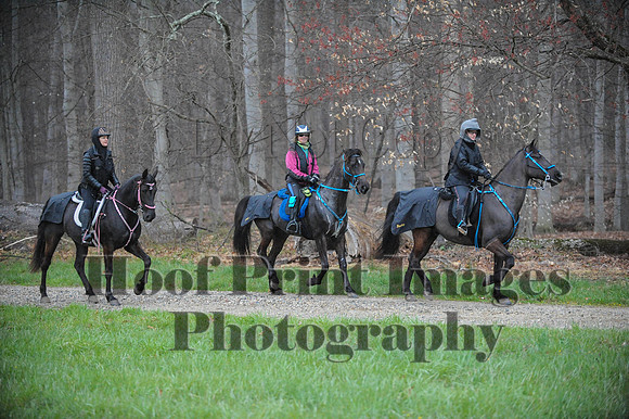 Foxcatcher(4-9-16)0365