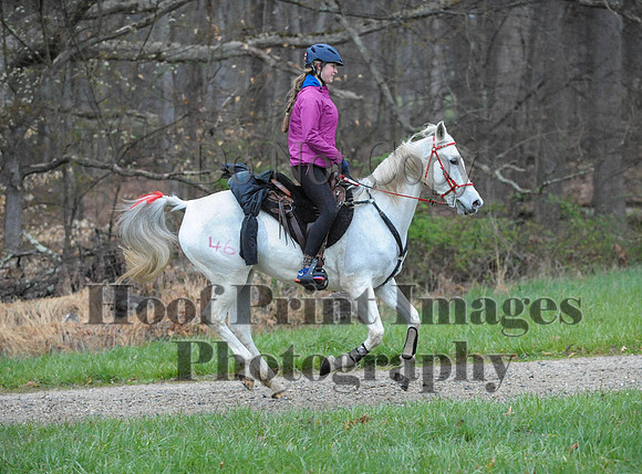 Foxcatcher(4-9-16)0132
