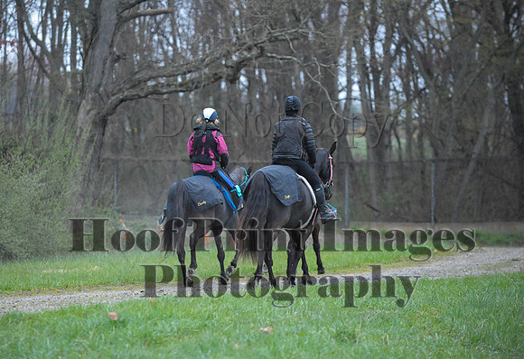 Foxcatcher(4-9-16)0382