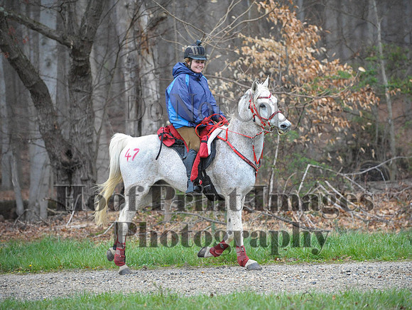 Foxcatcher(4-9-16)0149