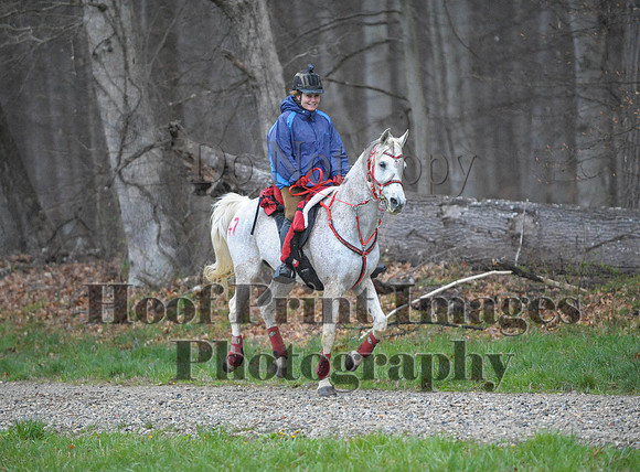 Foxcatcher(4-9-16)0141
