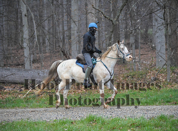 Foxcatcher(4-9-16)0443