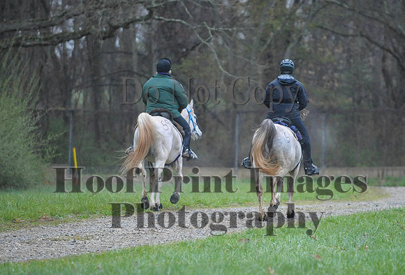 Foxcatcher(4-9-16)0498